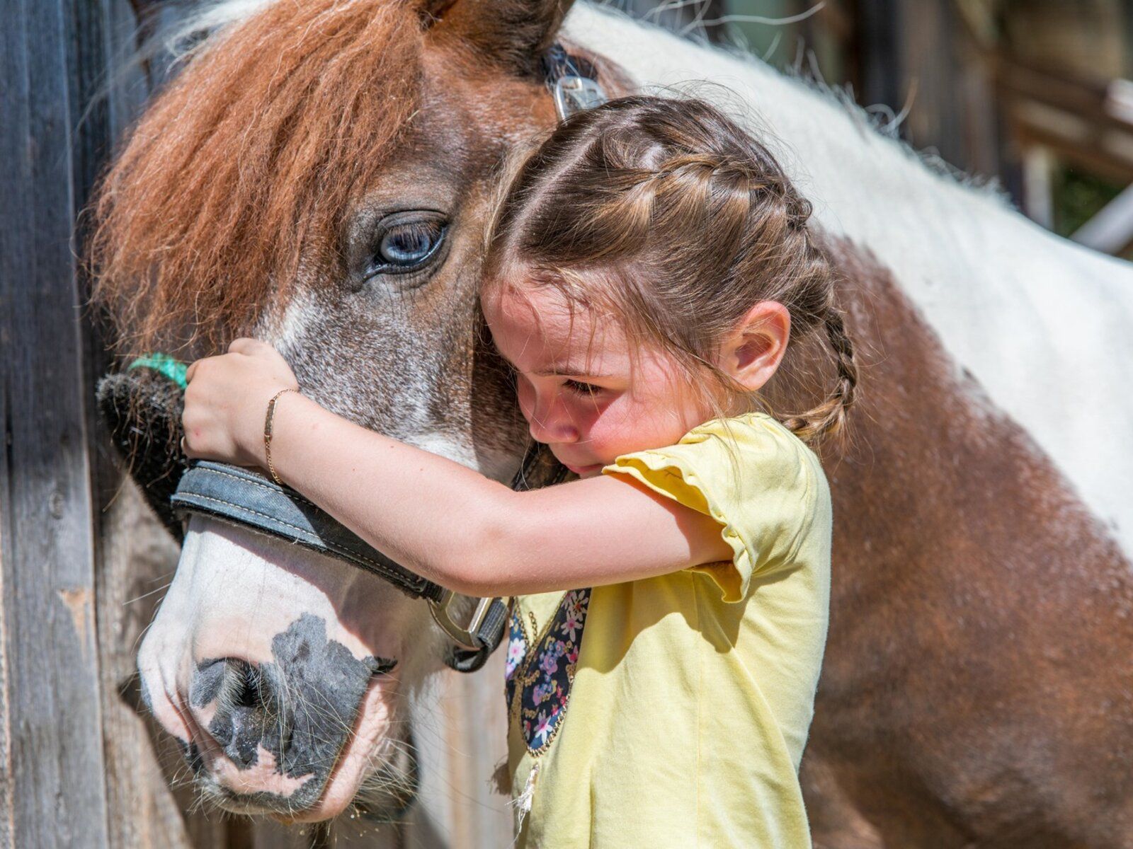 Deutschland, Bayerischer Wald