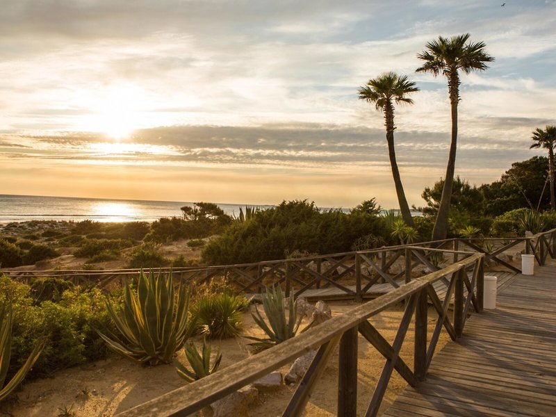Iberostar Waves Royal Andalus Strand